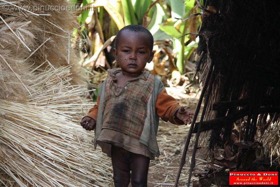 Ethiopia - Wolayta e la falsa banana - 6.jpg
